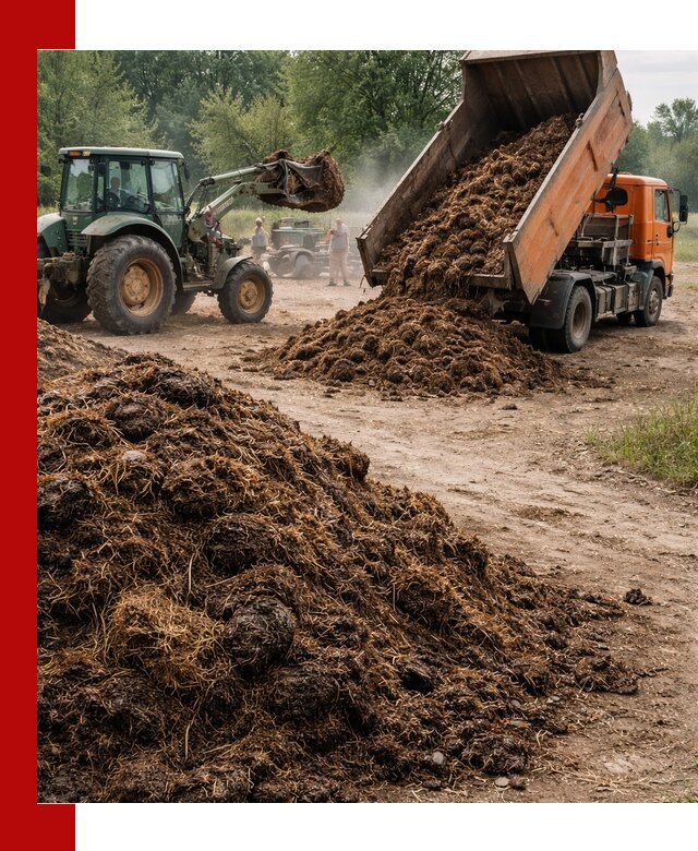 Доставка навоза самосвалами в Удомле для сельхозпотребностей